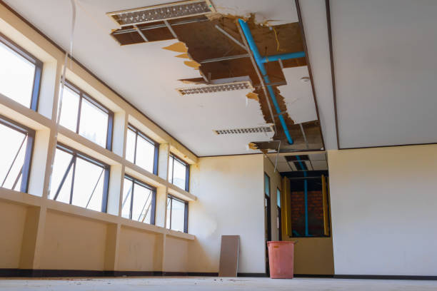 Best Ceiling water damage repair  in Ash Flat, AR