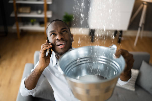  Ash Flat, AR Water damage restoration Pros