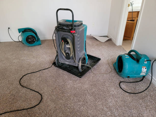 Best Commercial water damage restoration  in Ash Flat, AR
