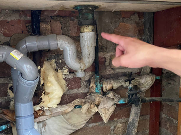 Best Local water damage restoration  in Ash Flat, AR