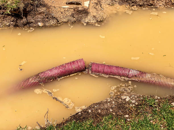 Best Professional water damage repair  in Ash Flat, AR
