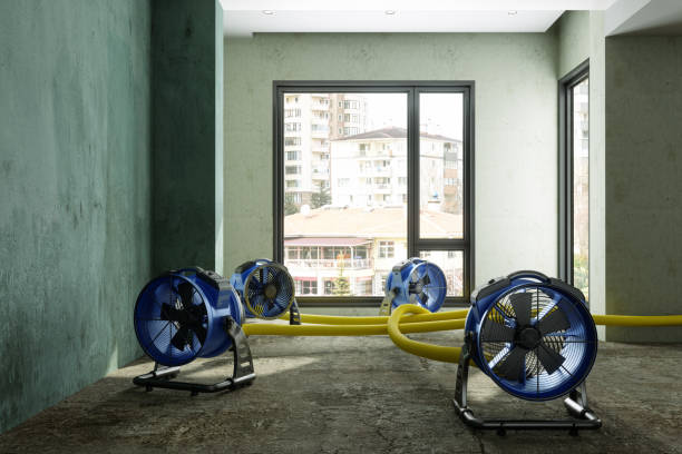 Best 24-hour water damage restoration  in Ash Flat, AR