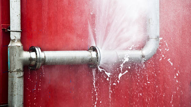 Best Water damage contractors near me  in Ash Flat, AR